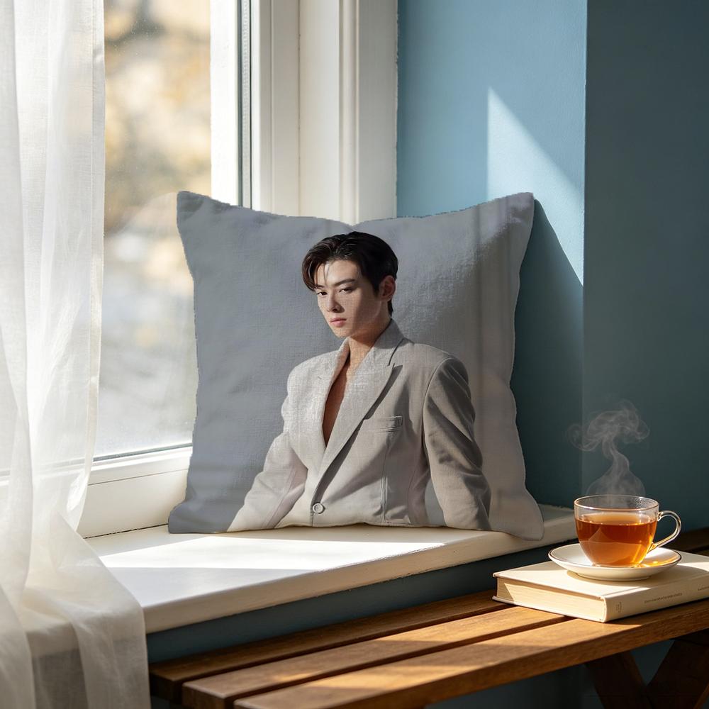 actor Cha Eun Woo Cushion Cover Cushion Cover Set  50x50 45x45 40x40 Pillowcase Decorative Sofa Home Decor