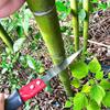 Telescopic Pole Saw for Tree Pruning – Manual Extendable Pruner with Adjustable Extension Pole, High Branch Cutter Tool