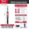 Delixi High-Precision Adjustable Digital Torque Wrench Socket