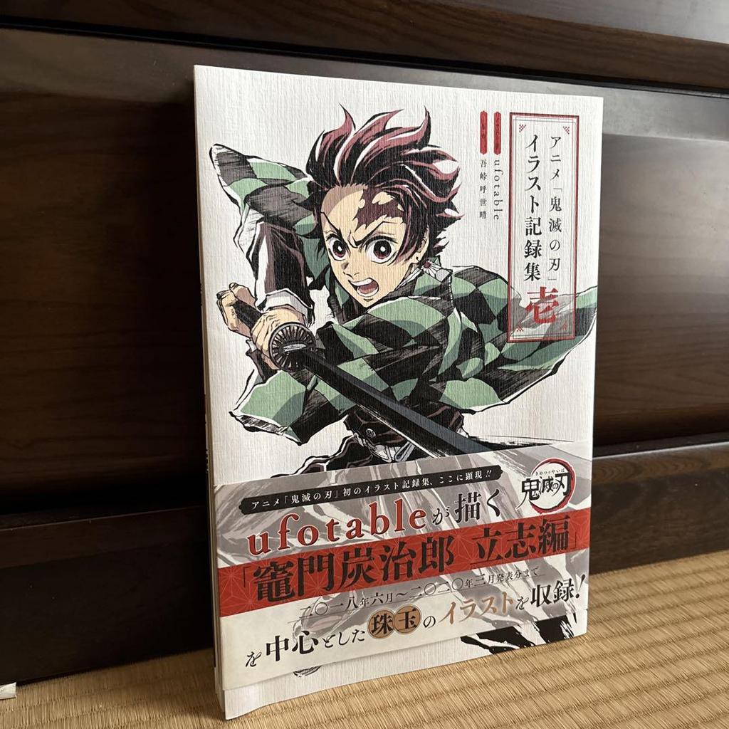 [USED] Demon Slayer 2-book set