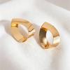 1 Pair of Design Metal Japanese and Korean Simple Atmosphere High-end Flake Geometric Women's Earrings Suitable for Daily Life