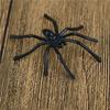 Lots 30Pcs Halloween Plastic Black Spider Joking Toys Decoration Realistic Prop