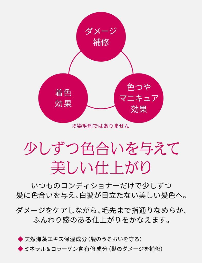 PRIOR Shiseido PRIOR Color Conditioner N Gray 230g Color Rinse [Official]