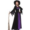 Adult Halloween Ladies Classic Purple Witch Fancy Dress Costume & Hat Accessory