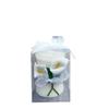 Lily Flower Romantic Birthday & Festival Candles for a Cozy Atmosphere