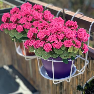 4pcs Flor Artificial Práctica Ramo de Begonia Moderno Simulado Moda Plantas Verdes Decoración del Hogar Flor de Seda