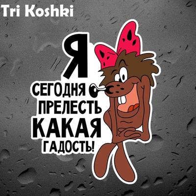 Tri Koshki KCS618 Bugün Sevimliyim Catton Araba Plakası PVC Çıkartmaları Motosiklet Etiket Araba Kamyon Tampon Dizüstü Buzdolabı Duvar Kapı