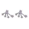Elegant Star Crystal Earrings Claw Shape Zircon Earrings Women Sparkling Studs  For Men And Women