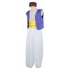 [monoii] Aladdin Cosplay Adult Arabian Costume Halloween Arabian Nights Costume d144
