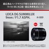 Panasonic H-X09 Wide-Angle Fixed Focal Length Camera Lens for LUMIX Digital SLR Cameras (Interchangeable Lens)