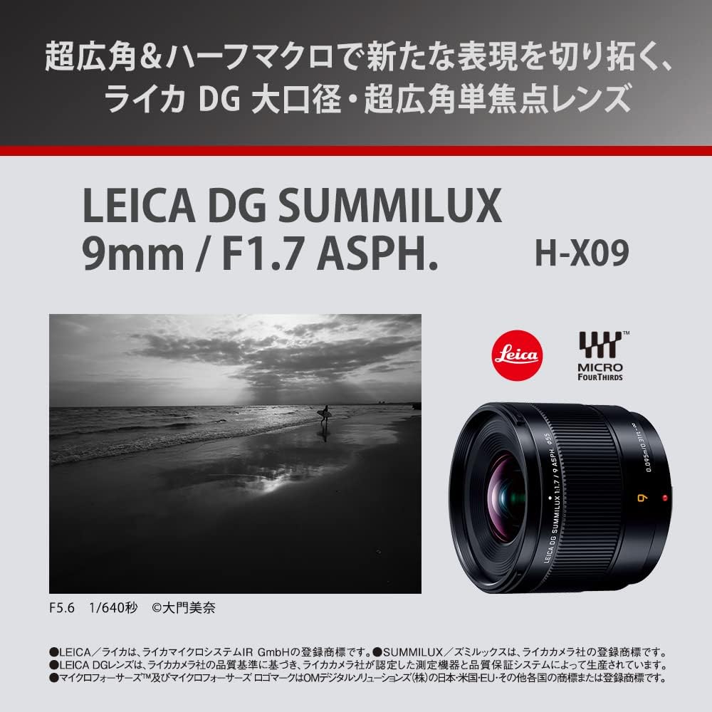 Panasonic H-X09 Wide-Angle Fixed Focal Length Camera Lens for LUMIX Digital SLR Cameras (Interchangeable Lens)