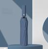 12 Bone Morandi Fully Automatic Umbrella Black Glue Sunscreen Sun Umbrella Plus Sun Umbrella Wholesale