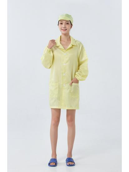 Static-free Lab Coat: Anti-static Dustproof Suit & Cleanroom Workwear in White, Blue, Pink - Available in Men's & Women's Styles