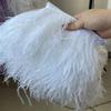 FeatherWhite Ostrich Feather Trim Ribbon 8-10cm Natural Plumes 1/2/5/10 Meters Sewing Trimmings for Dress Clothing Decoration Crafts