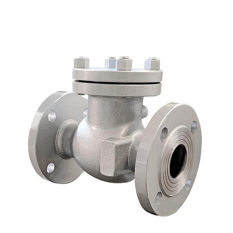 Dual-Purpose Flanged Swing Check Valve