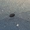 2 Sets of Umbrella Top Cap Replacement, Black Sturdy Plastic Umbrella End Cap Fitting, Easy DIY Repair