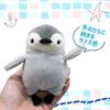 Shinada Global Mochi Series Mochipen Child Gray (mini) 7 X 5 X 14cm Plush Penguin Animal MOPE-0088G