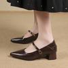Korean Version of Thick Heel Mary Jane Retro Small Leather Shoes Women's 2025 New Autumn Pointed Head Shallow Mouth Retro Word with Single Shoes