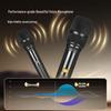 SAST All-in-One Karaoke Speaker System (CN version)