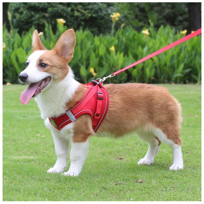 Breathable Mesh Reflective Dog Harness with Matching Traction Rope Adjustable Vest Chest Strap for Small Puppies Teddy Bichon Walking Supplies
