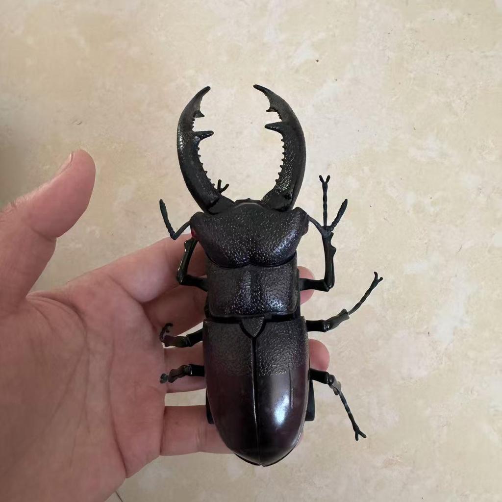 Biographical Analysis of Deer Antler Beetle and Claw Shaped Insect Beetle Gacha Simulation Animal Movable Joints Figure Toys