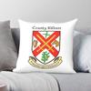 County Kildare Ancient Crest Square Pillowcase Polyester Linen Velvet Creative Decorative Pillow Case Sofa Seater Cushion Cover
