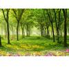 Mural Woods Lined Road 3d Forest Wall Mural Landscape Wallpapers For Living Room Bedroom Home Decor Wallpaper