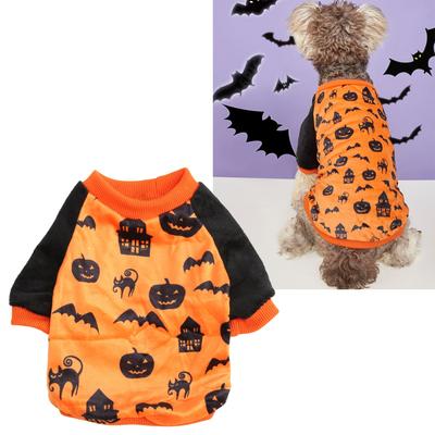 Ropa y calzado – Chalecos y camisas para perros
