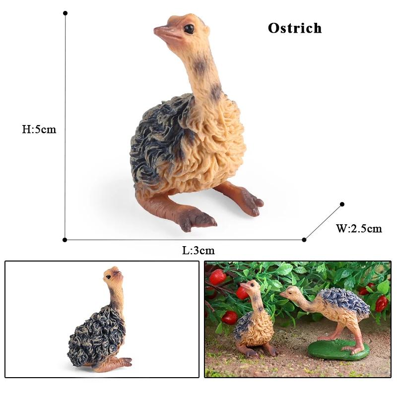 Oenux Forest Bird Animals Wild Ostrich Magpie Owl Crow Flamingos Figurines Action Figure PVC Garden Decoration Miniature Kid Toy
