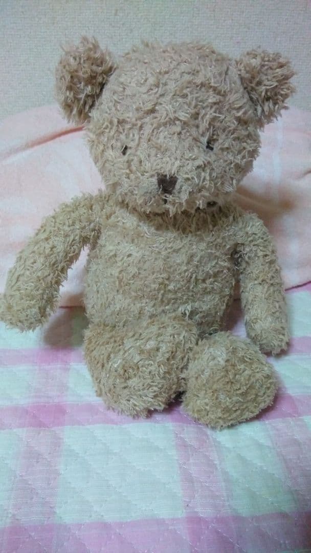

[USED] Teddy Bear