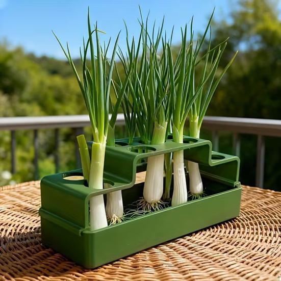 Scallion Planter Hydroponic Soil-Free Regeneration Planter Multi-Slot Scallion Regrowth Planter for Kitchen Countertop Window Sill