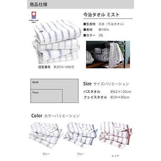 Imabari Towel Face 4-Piece Set Soft Instant Absorbent Quick Dry Indoor Drying 100 Cotton Made Japan Certified Hiorie Mist (Assorted 2 Colors 01)