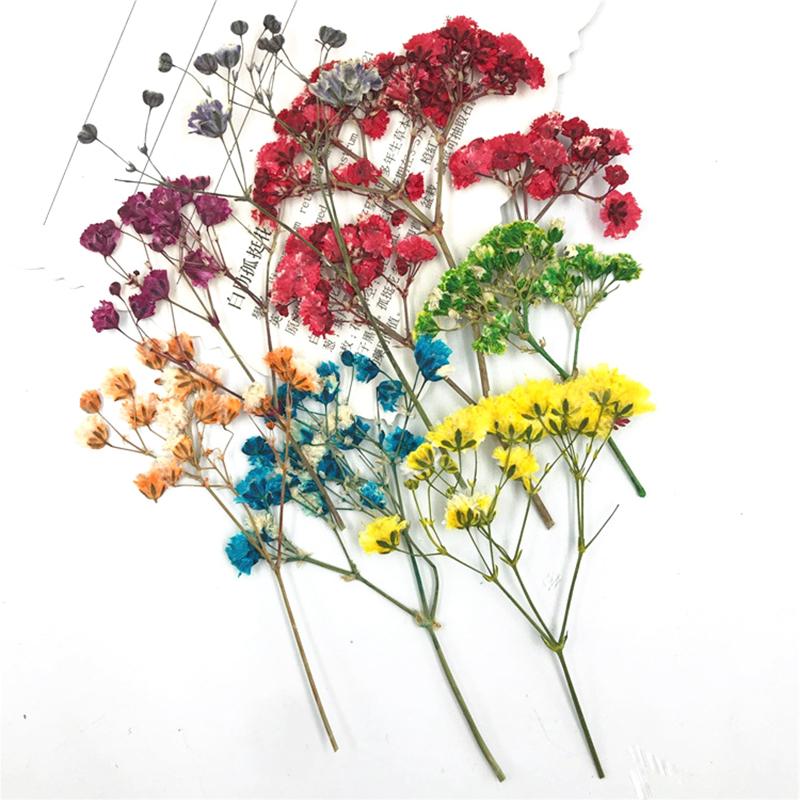 30PCS/Bag Dried Flowers Decor DIY UV Resin Mold Fillings Nail Art Flowers Stickers For Jewelry Making Home Decoration Handicraft