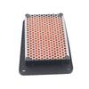 Sanyang Cruisym XS150T-9 Scooter Air Filter Element