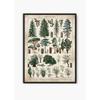 Vintage Antique Book Wall Art Plant Illustration Medicinal Herb Fruit Seaweed Tree Mushroom Canvas Painting Home Decor Gift