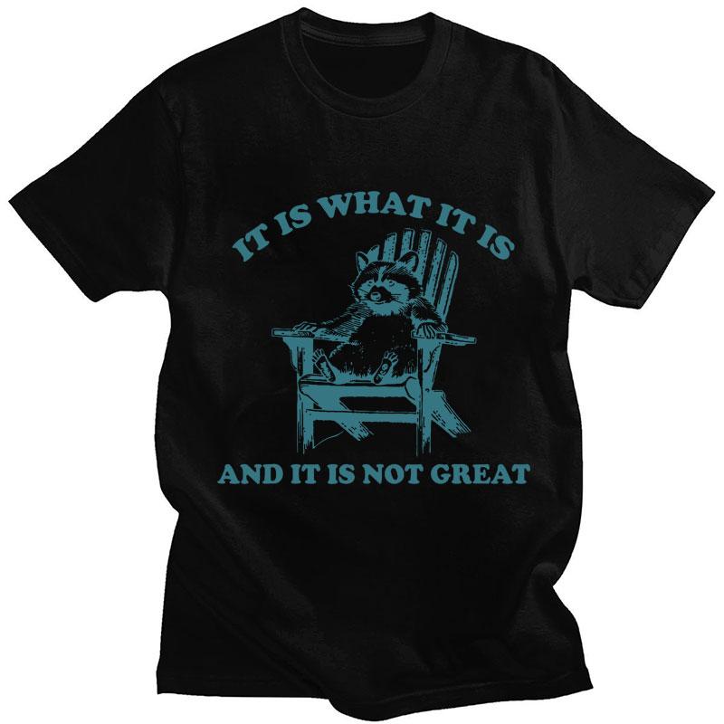 It Is What It Is and It Is Not Great Raccoon Meme T-Shirt Funny Opossum Popular Tshirt Unisex Fashion Cotton Casual Short Sleeve