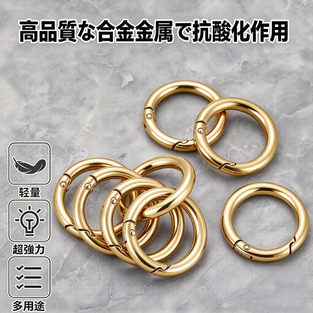 [Rinimie] 10pcs Round Carabiner Keychain Circle Key Ring Inner Diameter