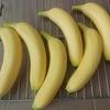 Simulation Model: PU Banana, Eggplant, Cucumber, Corn Ornaments for Display & Photography Props