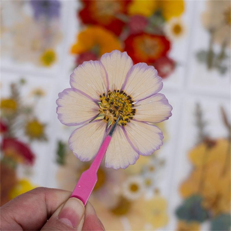 Natural Pressed Dried Flower For Epoxy Resin Dry Flowers and Leaves Set for Soap Candle Jewelry Making Scrapbooking