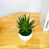 Gladiolus Pvc Realistic Succulent Flower Pot Plastic Craft For Living Decor Room