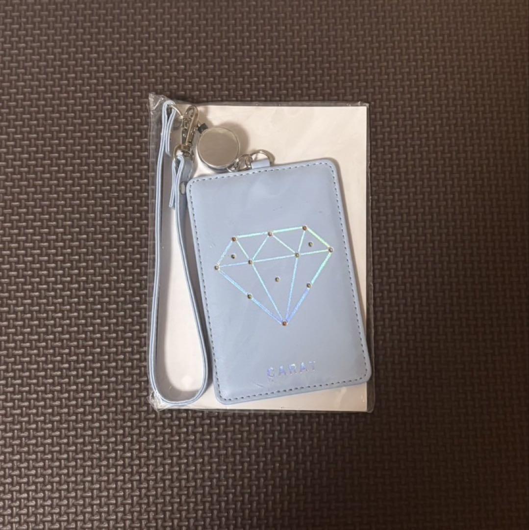 

[USED] Seventeen Flash Pass Case