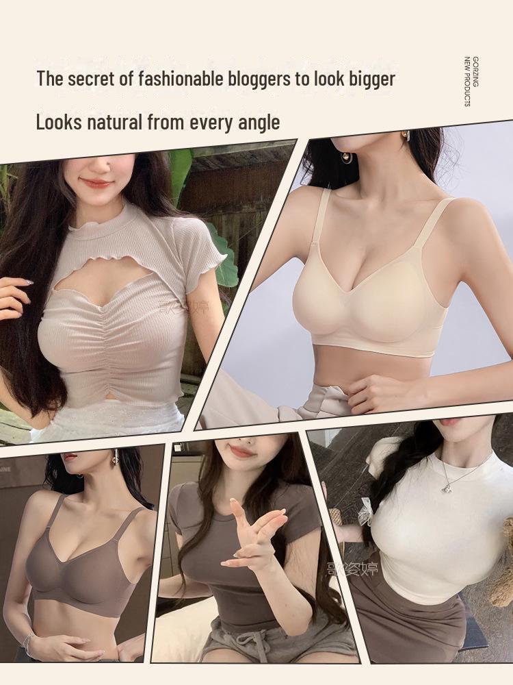 "Originele Koreaanse Verdikte Anti-Doorzakbeha voor Kleine Borsten"
