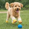 Breathable Dog Mesh Shoes Hollow Out Dog Footwear Summer Dog Shoes Anti-Slip Dog Boots  Training