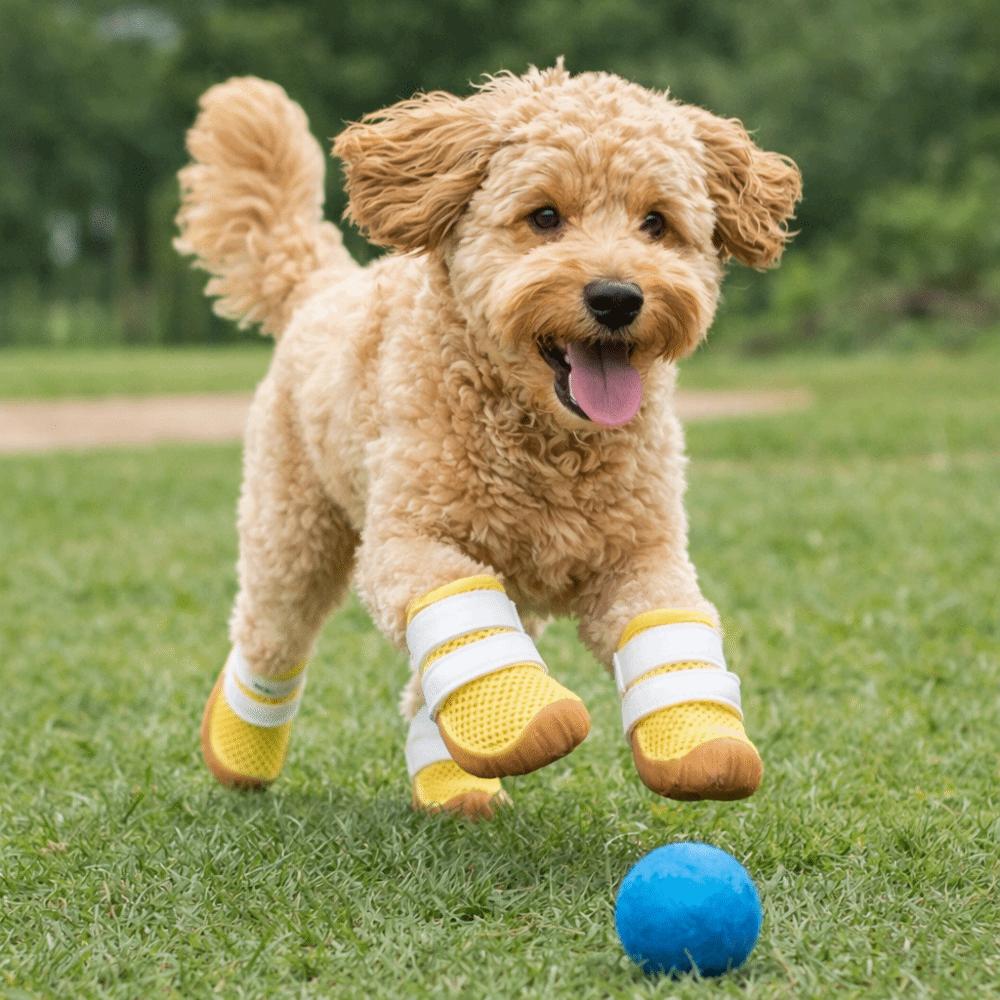Rubber Sole Dog Mesh Shoes Breathable Dog Footwear Fashion Dog Paw Protectors  Outdoor Walking