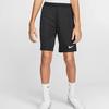 Nike Kids Shorts Moderate (Unisex) Shorts BV6865 010