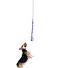 Interaktiver Hundespielzeug-Flirtstab, ausziehbar, Größe S, Baumwollseil-Anhänger, Schwarz, für Training, gesunde Haustierbewegung, Teaser