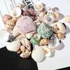 1 Pack Fish Tank Supplies Mix Style Natural Shell Conch Aquarium Landscape Tiny Sea Shell Beach Decoration Party Diy Crafts