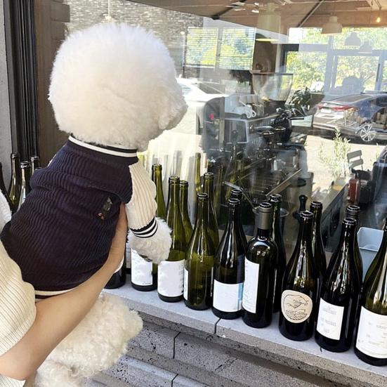 Dog Baseball Jacket Small Dogs Clothes with Raglan Sleeves Cute Sporty Dog Coat for Puppies Poodle Bichon Frise Daily Outfit