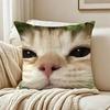 Cute Cat Thousand Yard Stare Meme Pillow Case Living Room Sofa Cushion Cover Suitable For Home Bedroom Room Decoration