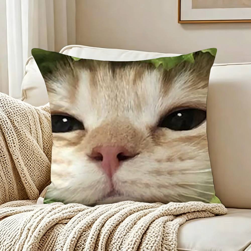 Cute Cat Thousand Yard Stare Meme Pillow Case Living Room Sofa Cushion Cover Suitable For Home Bedroom Room Decoration